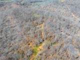  Sheepskin Ridge Road - Photo 44