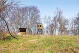  Sheepskin Ridge Road - Photo 8