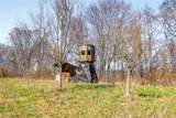  Sheepskin Ridge Road - Photo 9