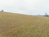 3967 Crooked Run Road - Photo 5