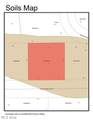 V/L 0.347 AC Walnut Ridge Avenue - Photo 6