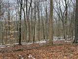 0 Tract 5 Mann Road - Photo 10