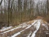 0 Tract 5 Mann Road - Photo 12