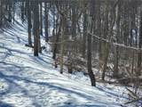 0 Tract 6 Winland Lane - Photo 6