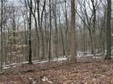 0 Tract 6 Winland Lane - Photo 8
