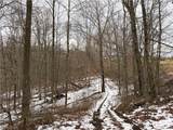 0 Tract 6 Winland Lane - Photo 9