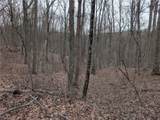 0 Tract 8 Barber Ridge Road - Photo 42