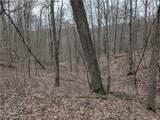0 Tract 8 Barber Ridge Road - Photo 44