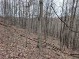 0 Tract 8 Barber Ridge Road - Photo 49
