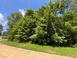 V/L 284 Stony Brook Lane - Photo 4
