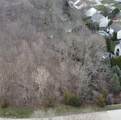 V/L 284 Stony Brook Lane - Photo 6