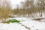 36863 Township Road 10 - Photo 21