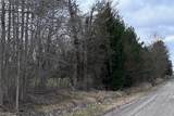 V/L White Road - Photo 14