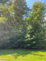 V/L 258 Stony Brook Lane - Photo 4