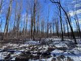V/L 3 Painesville Warren Rd. - Photo 15