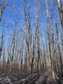V/L 3 Painesville Warren Rd. - Photo 4