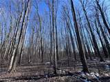 V/L 3 Painesville Warren Rd. - Photo 8