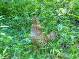 0 Twp Rd 366 - Photo 46