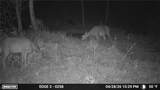 0 Twp Rd 366 - Photo 49