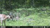 0 Twp Rd 366 - Photo 50