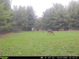5742 Hilltop Drive - Photo 39