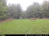 5742 Hilltop Drive - Photo 40