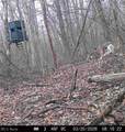 5742 Hilltop Drive - Photo 41