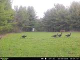5742 Hilltop Drive - Photo 42