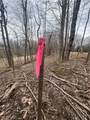 691 Som Center Road - Photo 11