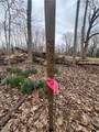 691 Som Center Road - Photo 12
