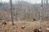  Brimstone Road - Photo 11