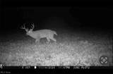  Flagdale - Photo 10