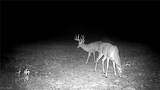  Flagdale - Photo 13