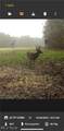  Flagdale - Photo 14
