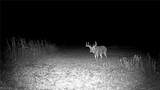  Flagdale - Photo 18