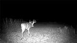  Flagdale - Photo 20