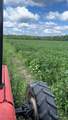  Flagdale - Photo 22
