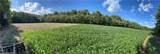 Flagdale - Photo 4