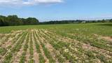  Flagdale - Photo 6