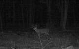  Nebraska Road - Photo 24