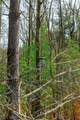  East Branch Road - Photo 12