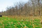  East Branch Road - Photo 23