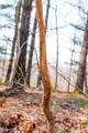  East Branch Road - Photo 29