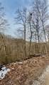 0 Sugar Creek Road - Photo 3