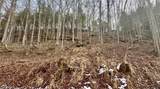 0 Sugar Creek Road - Photo 6