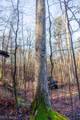 1590 Mcgregor Road - Photo 27
