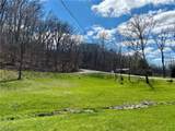 2929 Flickinger Hill Road - Photo 9