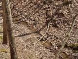 1536 Jakes Fork Road - Photo 14