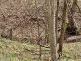 1536 Jakes Fork Road - Photo 15