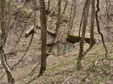 1536 Jakes Fork Road - Photo 16